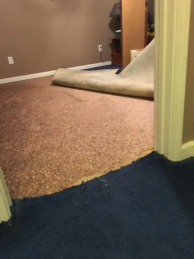 Carpet pad removal revealing water damage during Drying & Dehumidification in Cudahy